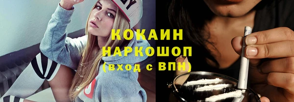 хмурый Алзамай
