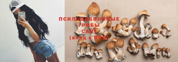 ПСИЛОЦИБИНОВЫЕ ГРИБЫ Алексин