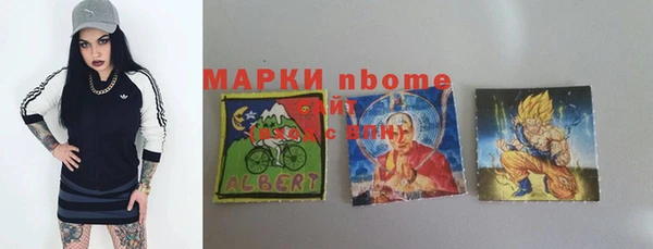 хмурый Алзамай