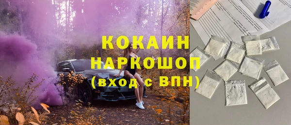 хмурый Алзамай