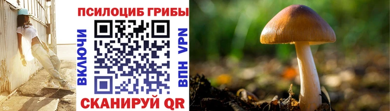 Псилоцибиновые грибы мицелий  сколько стоит  Алексеевка 