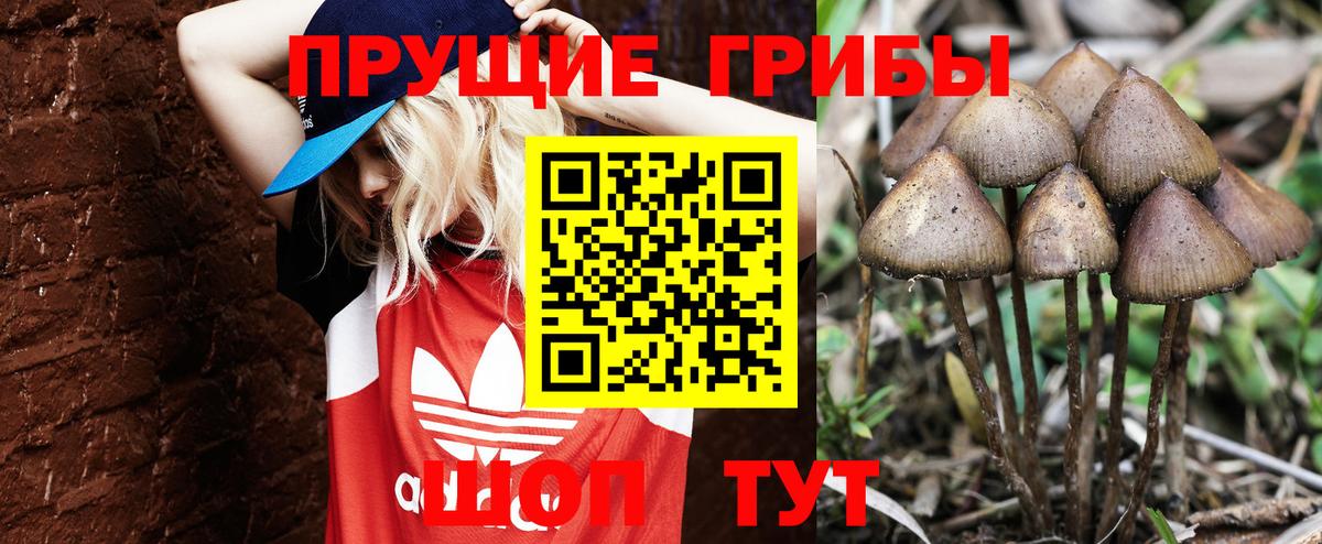 Псилоцибиновые грибы ЛСД Алексеевка